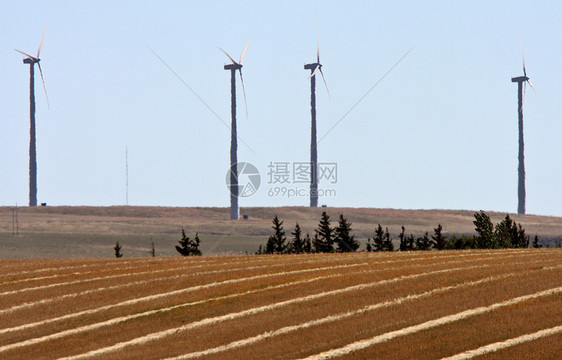 萨斯喀彻温省粮食稻谷后面的风农场图片