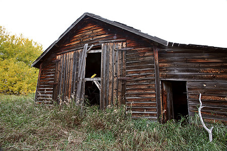 艾伯塔省被遗弃的家园水平风化高草农村乡村木板旅行树木车库图片