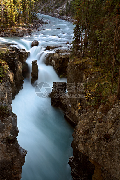 贾斯珀国家公园的Sunwapta瀑布树木旅行风景环境溪流场景松树岩石太阳图片