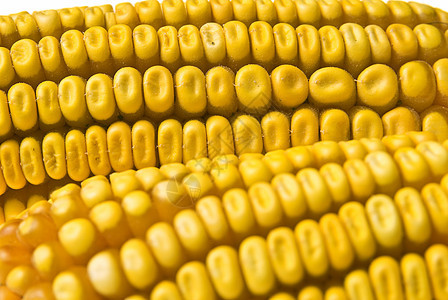玉米芯植物黄色种子食物内核视图节食蔬菜玉米芯特写图片