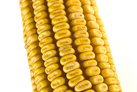 玉米芯种子蔬菜植物白色食物内核爆米花视图黄色玉米芯图片