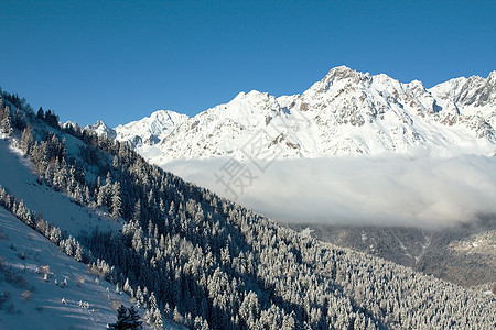 山山脉风景滑雪环境地形季节运动全景顶峰松树假期图片