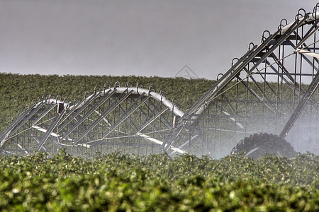 在多云的白天工作时用的水滴子国家土豆灌溉乡村农业旅行水平农村农作物图片