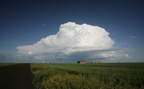 萨斯喀彻温粮仓的暴云植被农场旅行建筑物乡村粮食风景天空编队天气图片