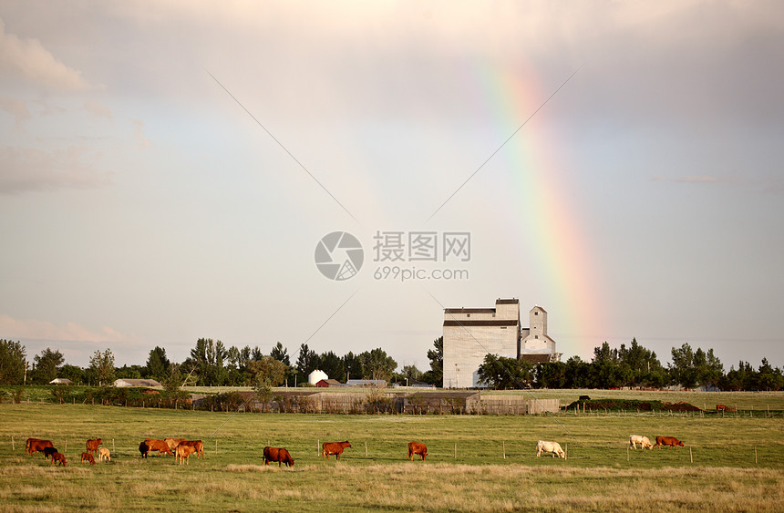 彩虹从本戈夫萨斯喀彻温编队粮仓旅行场地绿色乡村农业电线杆牧场房子图片