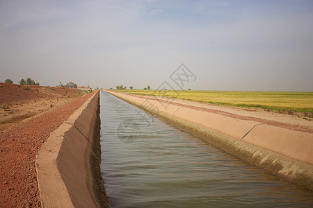 灌溉系统水泥种植城市场地农场风光植物管道庄稼食物图片