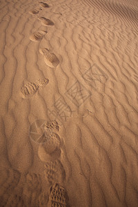 压强杜库地貌沙漠海浪曲线天空印刷波纹祖卡沙丘风景金子图片