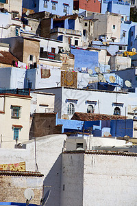 Chaouen 观点植物游客漂洗胡同房屋白色袖珍潮元蓝色村庄图片