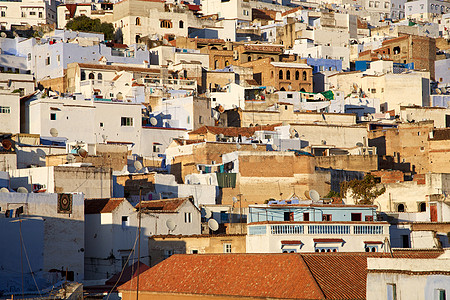 Chaouen 观点城市房屋袖珍漂洗胡同村庄潮元白色植物建筑图片