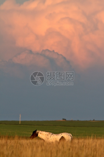 萨斯喀彻温省库穆洛尼姆布云旅行天气绿色植被天空场地场景风暴风景乡村图片