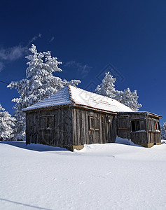 山山房风景季节阳光木头小屋住宅国家乡村假期晴天图片