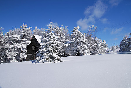 雪中山庄风景乡村小屋假期寂寞国家住宅阳光木头建筑学图片