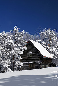 山山房晴天国家木头风景乡村阳光小屋假期寂寞住宅图片