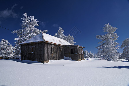 山山房木头小屋阳光风景晴天假期寂寞住宅国家季节图片