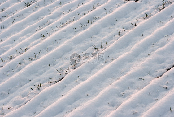 雪农田环境草地国家场地生活土地粮食小路培育图片