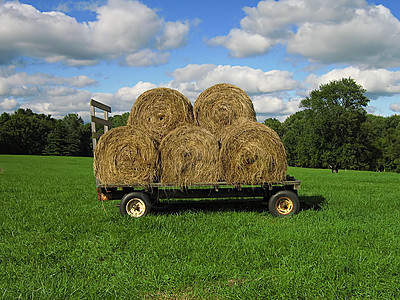 Hay Wagon( 哈伊瓦贡)图片