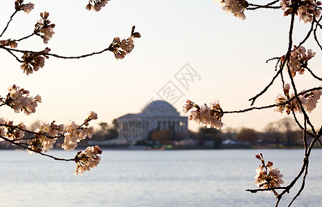 和Jefferson纪念会盆地建筑学节日旅游纪念碑城市直流电纪念馆潮汐购物中心图片