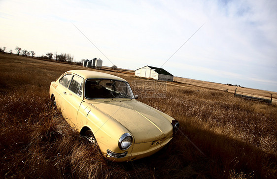 废弃在高草地的黄色外国汽车图片