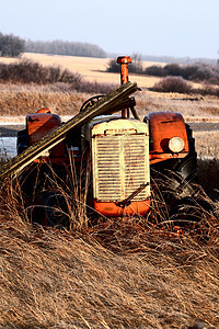 高植被的旧遗弃拖拉机图片