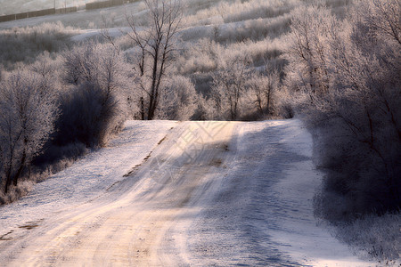 通向布法罗湖的公路 在冬天图片