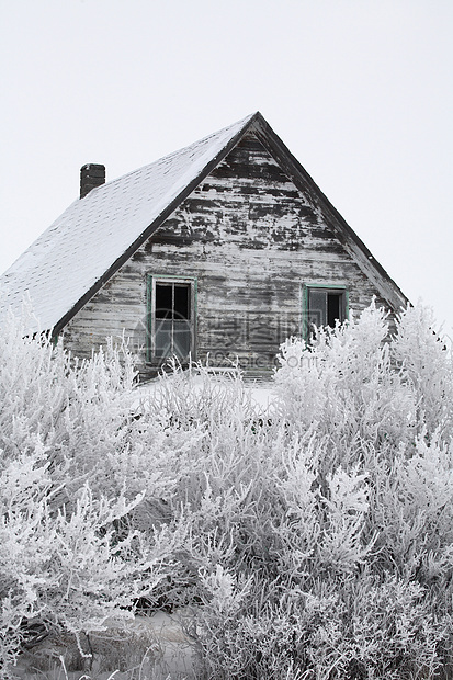 冬季被遗弃的农舍植被农村风景乡村农场车轮帽子照片农业牛仔图片