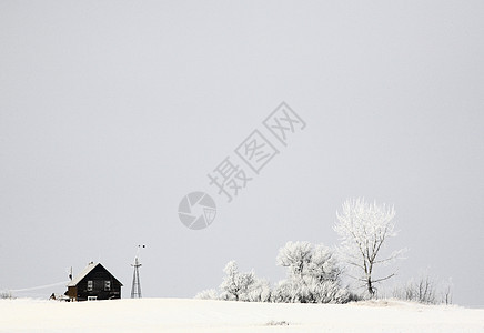 冬季被遗弃的农舍树木农场房子灌木丛场景风景农村旅行乡村国家图片
