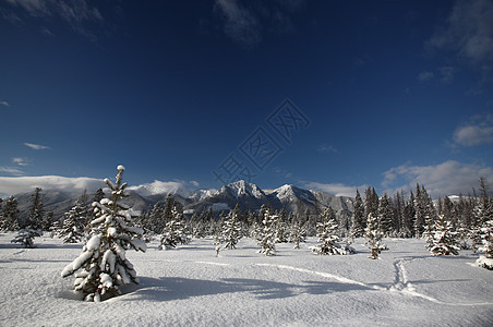 冬季落基山脉旅行白色风景树木水平阴影荒野场景图片