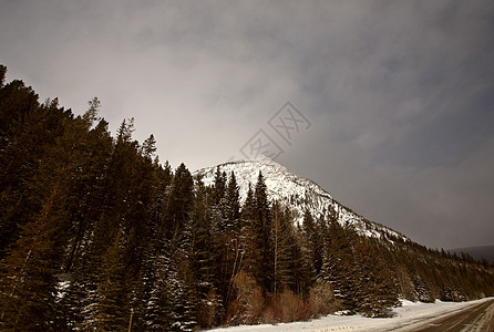 冬季落基山脉树木旅行风景场景荒野多云水平阴霾白色图片