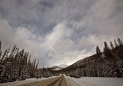 冬季落基山脉白色旅行树木荒野多云场景水平风景丘陵图片
