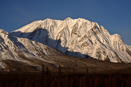 冬季落基山脉白色荒野阴影树木水平风景阳光照射旅行场景图片