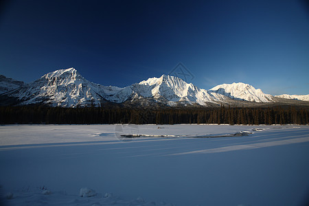 冬季落基山脉场景树木白色草地丘陵阳光照射水平荒野风景旅行图片