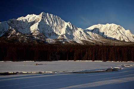 冬季落基山脉树木旅行阳光照射荒野风景阴影水平草地白色场景图片