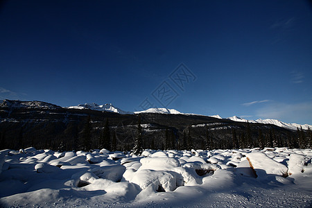 冬季落基山脉白色荒野水平岩石丘陵树木阳光照射旅行风景场景图片
