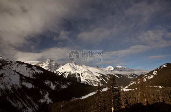 冬季落基山脉旅行荒野丘陵水平阳光照射场景白色风景树木图片