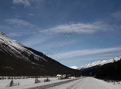 冬季落基山脉阳光照射树木白色水平场景旅行风景丘陵荒野图片