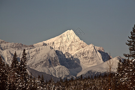 冬季落基山脉水平白色风景旅行荒野树木场景阳光照射图片