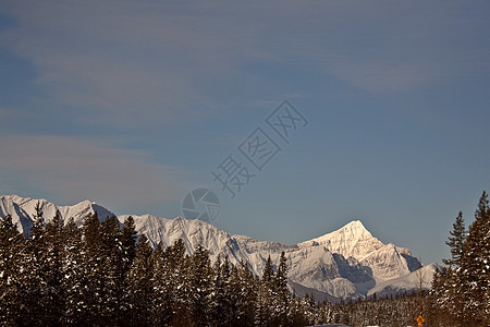 冬季落基山脉白色风景荒野阳光照射树木旅行丘陵场景水平图片