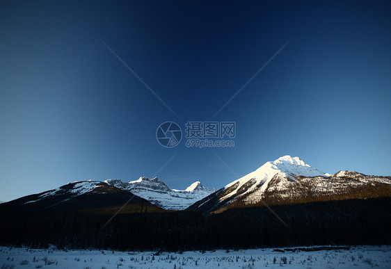 冬季落基山脉场景水平树木阴影草地白色风景阳光照射荒野旅行图片