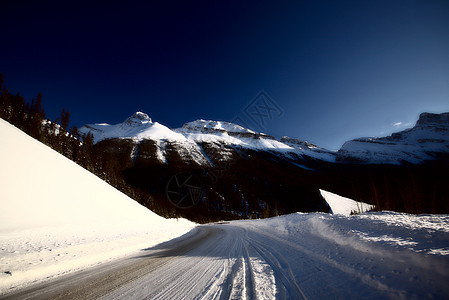 冬季落基山脉阳光照射荒野旅行白色树木丘陵场景阴影水平风景图片