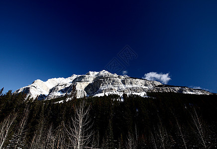 冬季落基山脉丘陵荒野旅行白色场景水平阳光照射树木风景图片