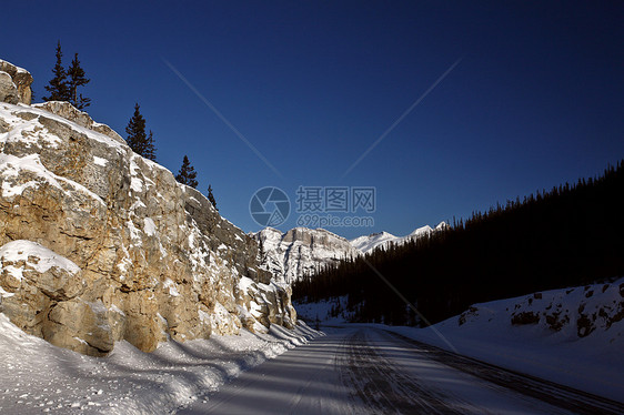 冬季落基山脉水平树木白色阴影旅行场景荒野风景丘陵阳光照射图片