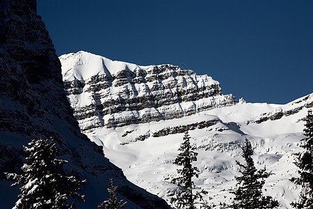 冬季落基山脉旅行丘陵树木白色水平阴影场景风景图片