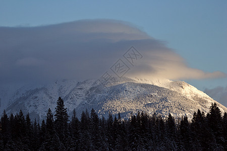 冬季落基山脉旅行树木风景丘陵阳光照射白色场景水平荒野图片
