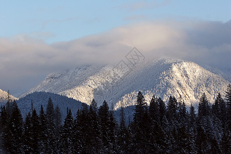 冬季落基山脉水平阳光照射旅行风景白色阴影树木丘陵荒野场景图片