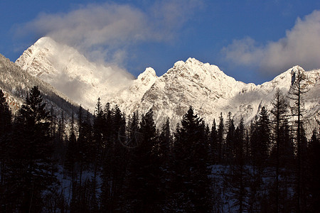 冬季落基山脉树木风景旅行场景水平阳光照射白色丘陵荒野图片