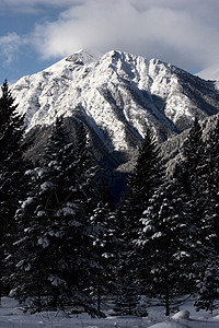 冬季落基山脉旅行荒野场景风景树木多云阴影丘陵白色阴霾图片