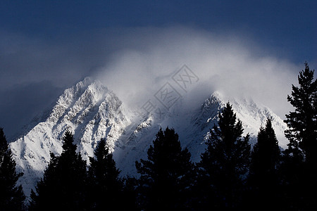 冬季落基山脉阳光照射场景树木白色水平风景丘陵旅行荒野图片