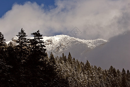 冬季落基山脉白色水平风景多云旅行树木场景阴霾荒野图片