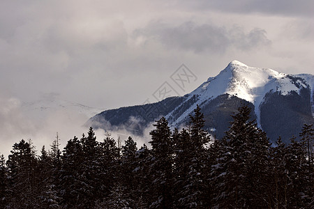 冬季落基山脉多云水平丘陵场景白色树木荒野风景旅行阳光照射图片