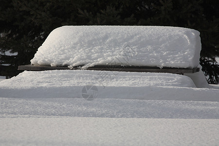 野餐桌上的重雪包背景图片